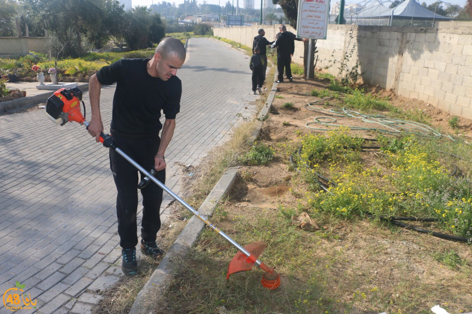 taso 23 tendedf (23).jpg